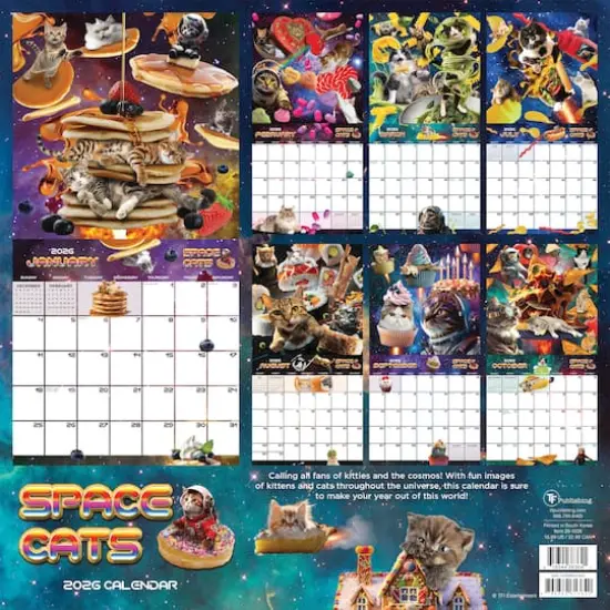2026 Space Cats Wall Calendar {6}