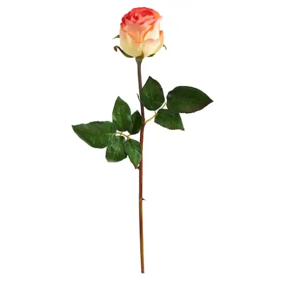 Peach Rose Bud Stem, 6ct. {1}