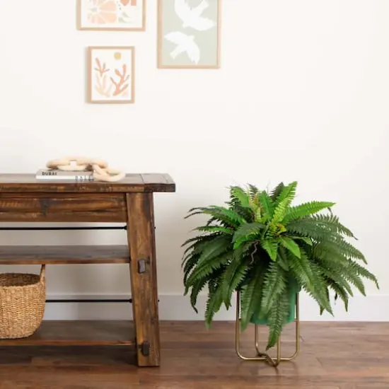 3ft. Boston Fern in Brass Metal Planter with Stand {3}