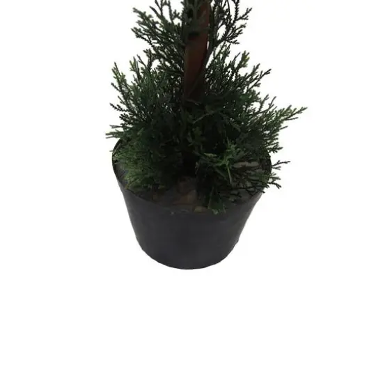3ft. Potted Cedar Double Ball Topiary Tree {6}