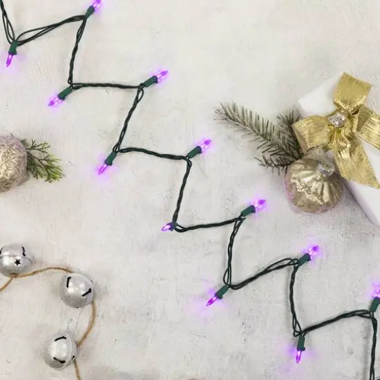 100ct. LED Mini Christmas Lights With Green Wire Purple {7}