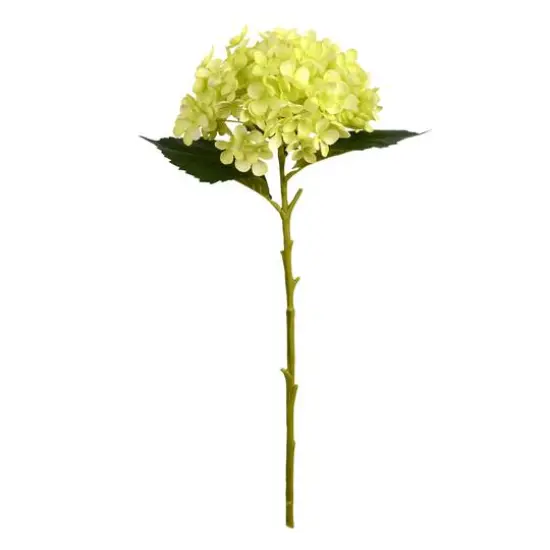 3 Pack: Green Hydrangea Stem {1}