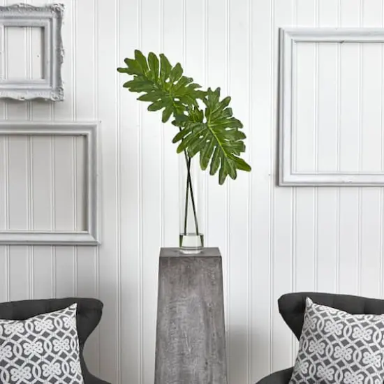 2.5ft. Philodendron Leaves in Cylinder Glass Vase {3}