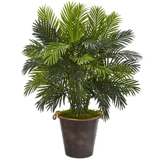 3.5ft. Areca Palm in Metal Pail Planter {1}