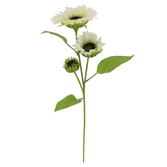 34" Cream Sunflower Stem by Ashland&reg; {1}