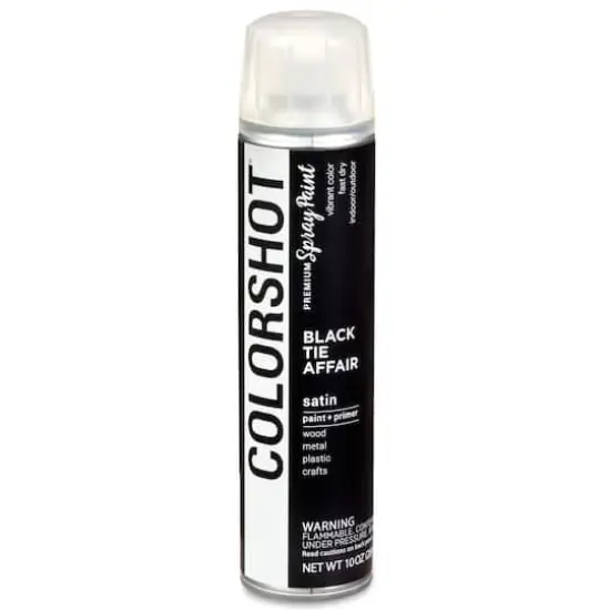 COLORSHOT&reg; Premium Satin Spray Paint Black Tie Affair {9}