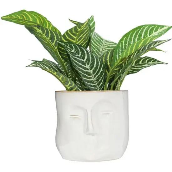 Hello Honey&reg; 7" White Stoneware Planter with Face {3}