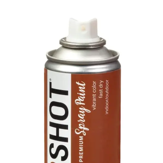 COLORSHOT&reg; Premium Satin Spray Paint Root Beer Float {6}