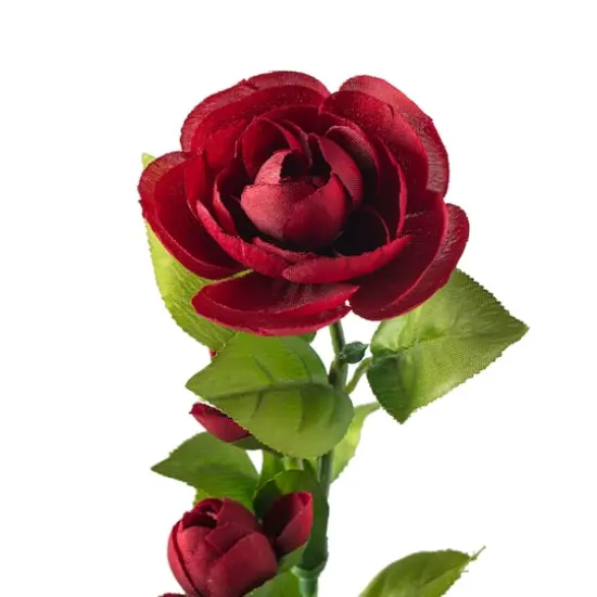 Burgundy Ranunculus Spray by Ashland&reg; {4}