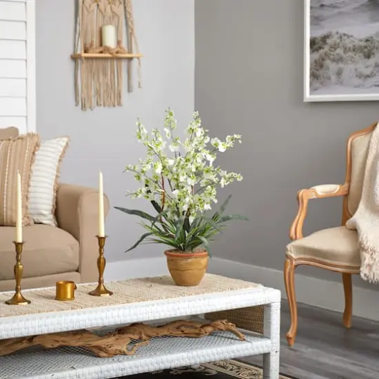 2ft. Green Dancing Lady Orchid Arrangement in Ceramic Vase {4}