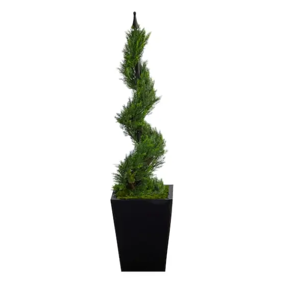 3.6ft. Spiral Cypress Topiary in Black Metal Planter {1}