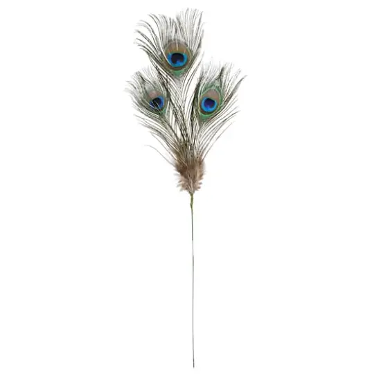 Peacock Feather Picks by Ashland&reg; {3}