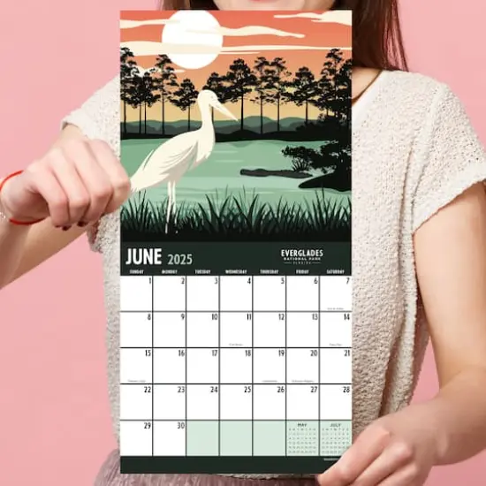 TF Publishing 2025 National Parks Art Mini Calendar {4}