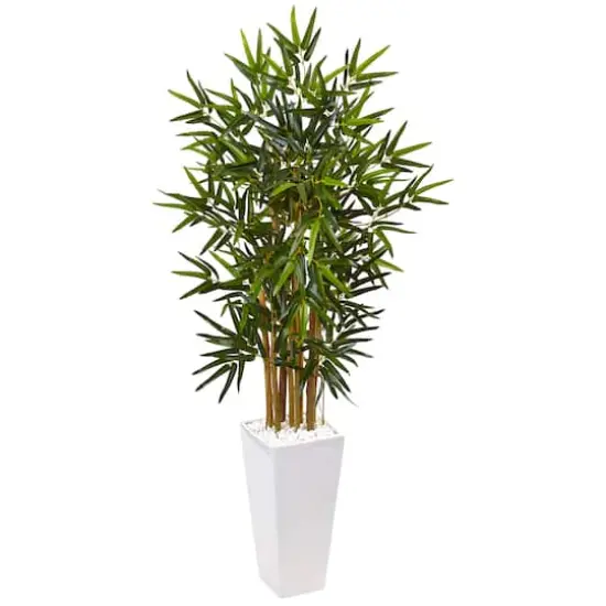 4ft. Bamboo Tree in White Tower Planter {1}