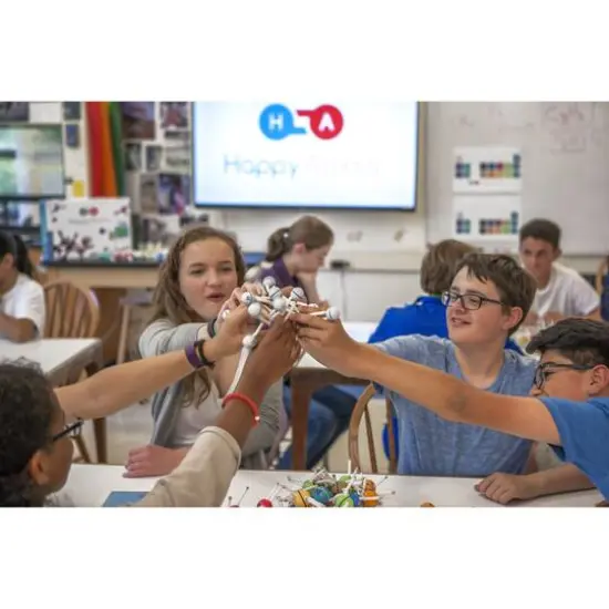 Thames & Kosmos Happy Atoms Educator's Bundle, 250 Atoms {13}