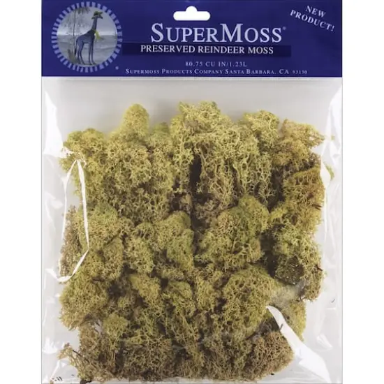 SuperMoss&reg; Moss Green Preserved Reindeer Moss {1}