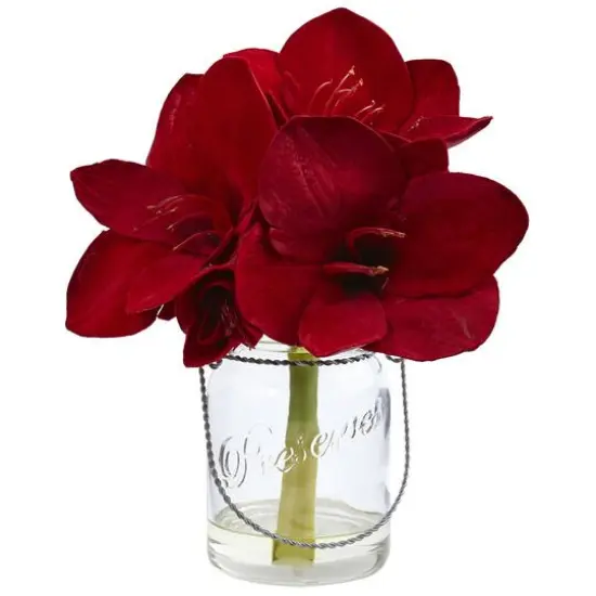 11" Amaryllis Arrangement in Glass Jar, 2ct. {3}
