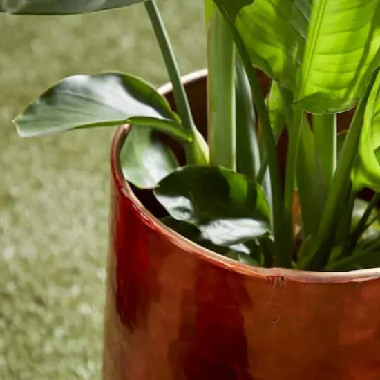 Copper Aluminum Glam Planter, 21", 16" & 13" {7}