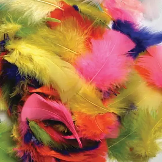 Creativity Street&reg; Bright Turkey Plumage Feathers, 12 Packs of 14g {3}