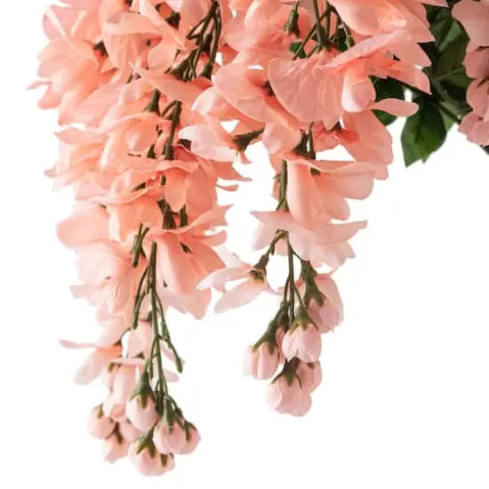 Coral Wisteria Bush by Ashland&reg; {4}