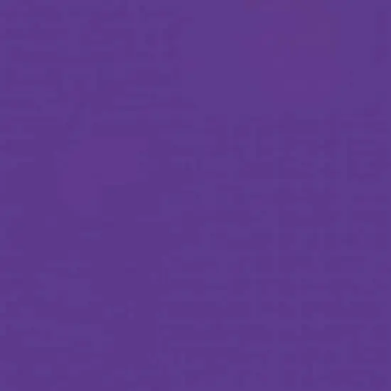 Rust-Oleum&reg; Painter's Touch&reg; 2X Ultra Cover&reg; Gloss Spray Paint Grape {4}