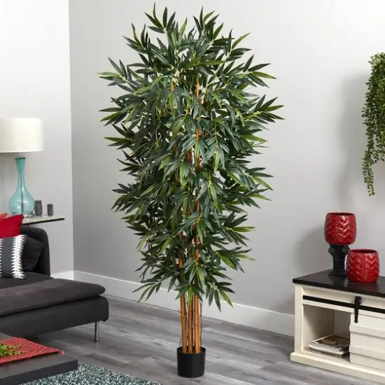 6ft. Potted Big Bamboo Tree  {3}
