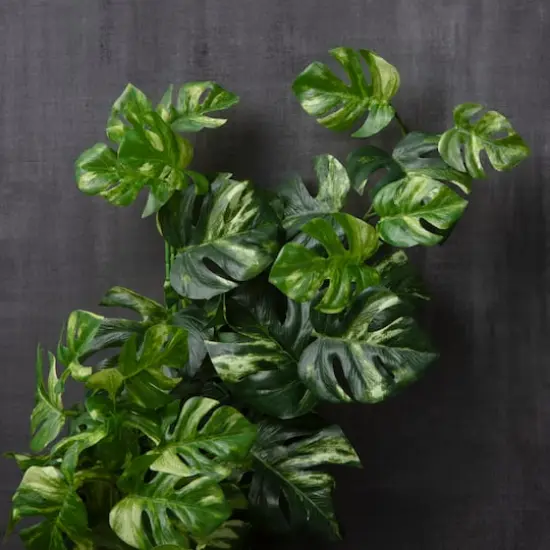 Split Hanging Philo Bush by Ashland&reg; {3}