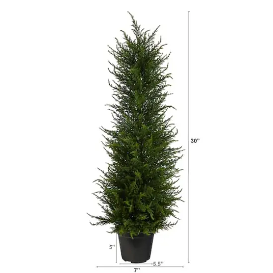 2.5ft. Potted Cypress Tree {3}