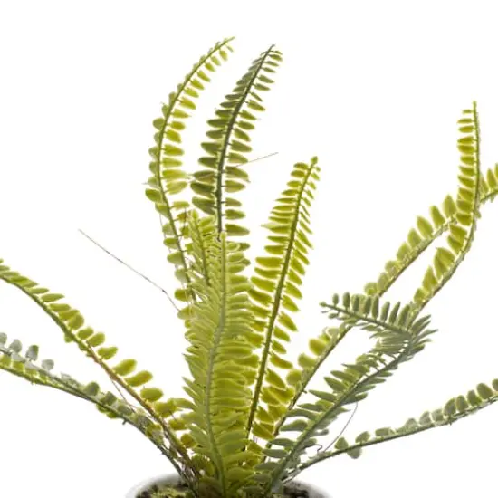 White Ceramic Contemporary Artificial Foliage, 14" x 12" x 13" {5}