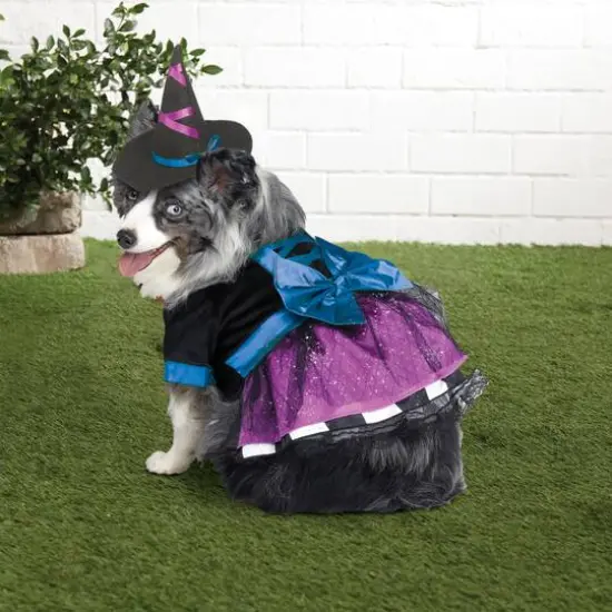 Witch Dog Costume by Ashland® {3}