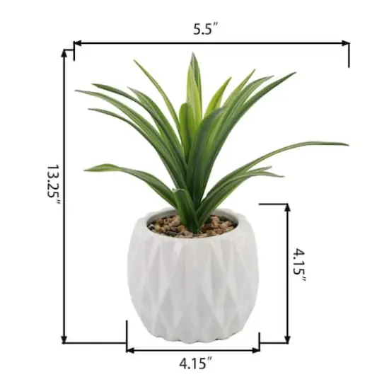 Flora Bunda&reg; 13.5" Green Sedge in Ridge Ceramic Planter {3}