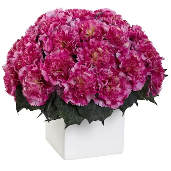 11" Dark Pink Carnation Arrangement with Vase {1}