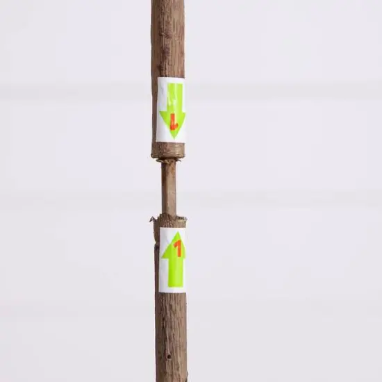 Artificial Slim Minimalist Olive Tree {7}