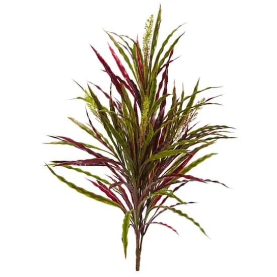 2ft. Fall Vanilla Grass Plant, 3ct. {1}