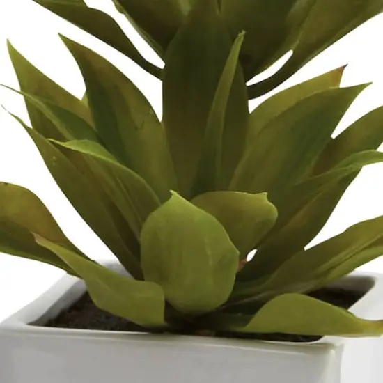 11.5" Double Mini Agave Arrangement with Planter, 2ct. {4}