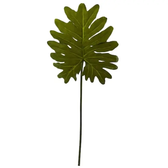 Selloum Philo Single Leaf Stem, 12ct. {1}