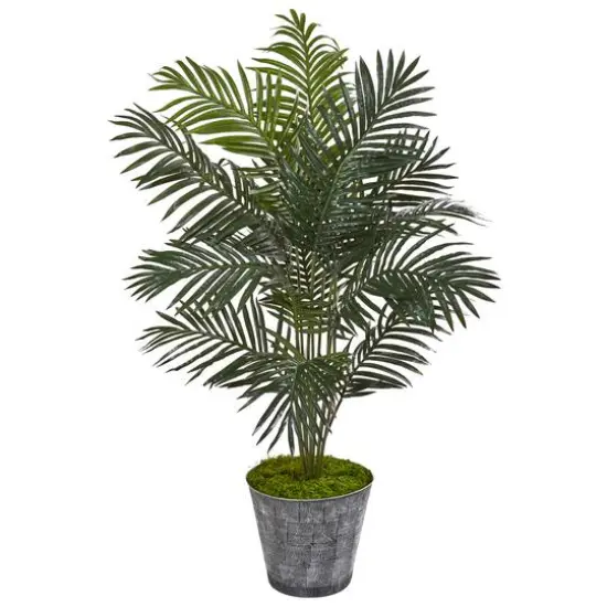 5ft. Paradise Palm Tree in Decorative Planter {1}