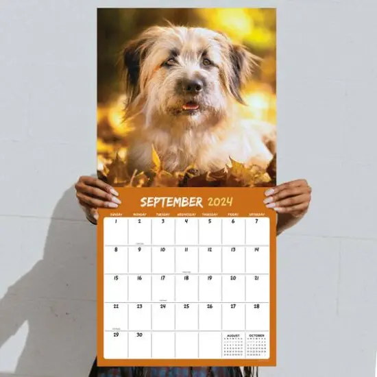 TF Publishing 2024 Mutts Wall Calendar {6}