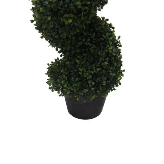 4ft. Potted Green Boxwood Spiral Tree {6}
