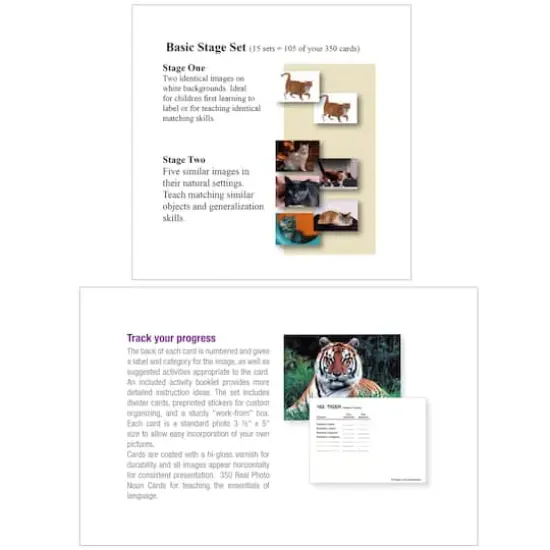 Stages® Learning Materials Language Builder® Nouns Picture Card Set {5}