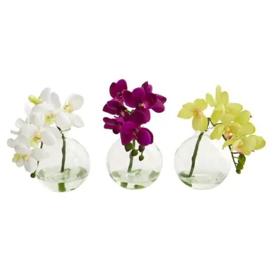 9" Orchid Arrangement in Glass Vase Set {1}
