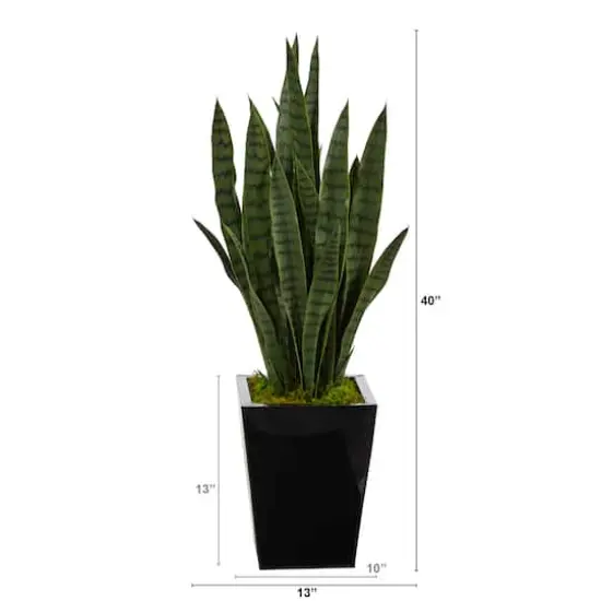 3ft. Snake Plant in Black Metal Planter {3}