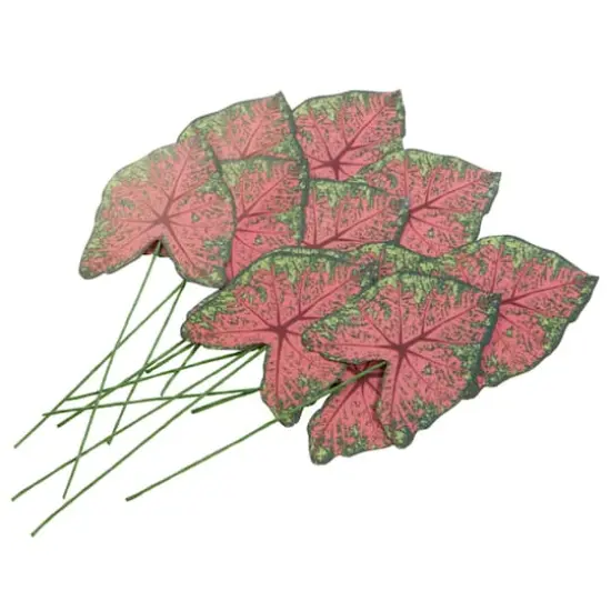 Green & Pink Paper Caladium Leaves by Recollections&trade; {4}
