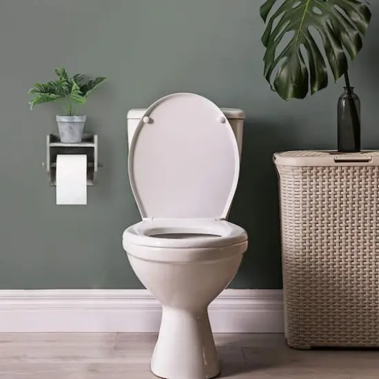 Olive Green Toilet Paper Holder with Storage {3}