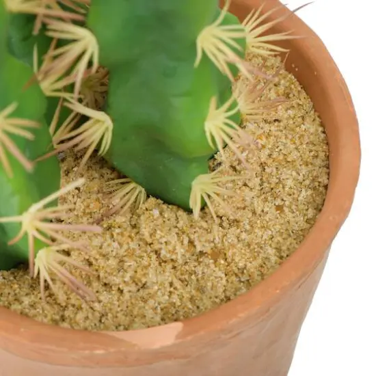 Hello Honey&reg; 18" Cereus Cactus in Terra Cotta Colored Pot {7}