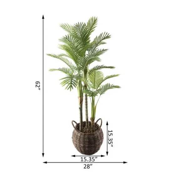 Flora Bunda&reg; 6ft. Palm in Brown Basket Planter {3}