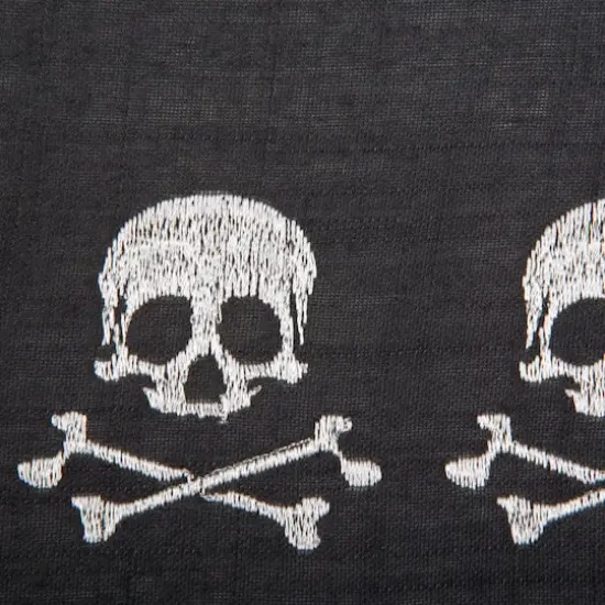 DII&reg; Skulls Embroidered Placemats, 4ct. {3}