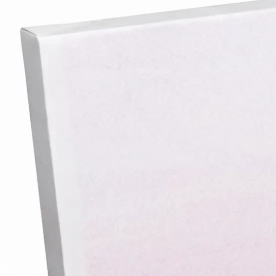 Pink Single Potted Cactus 16" x 16" Canvas Wall Art {6}