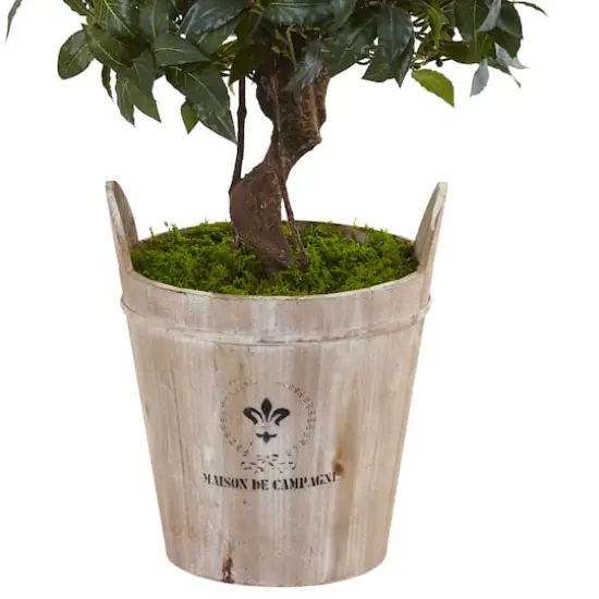 4.5ft. Sweet Bay Double Topiary Tree in Farmhouse Planter {4}
