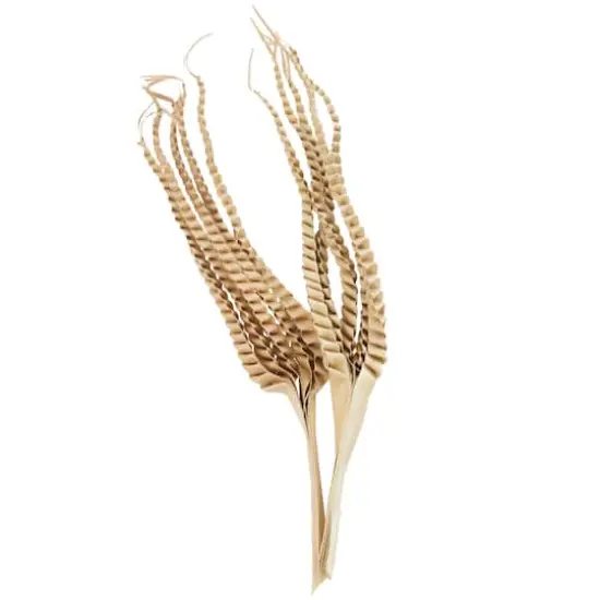 32" Beige Dried Plant Palm Leaf Natural Foliage {5}